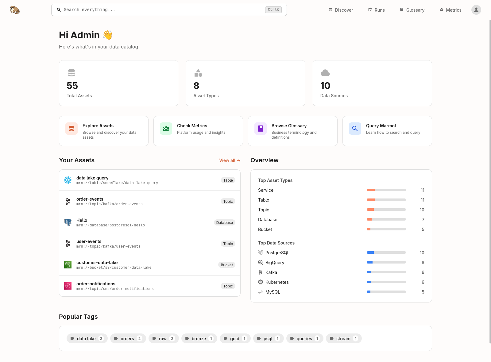 Asset detail page showing rich metadata and documentation