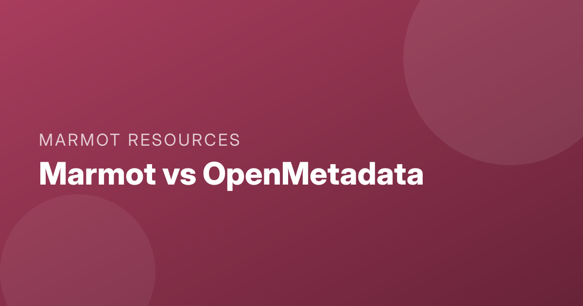 Marmot vs OpenMetadata comparison